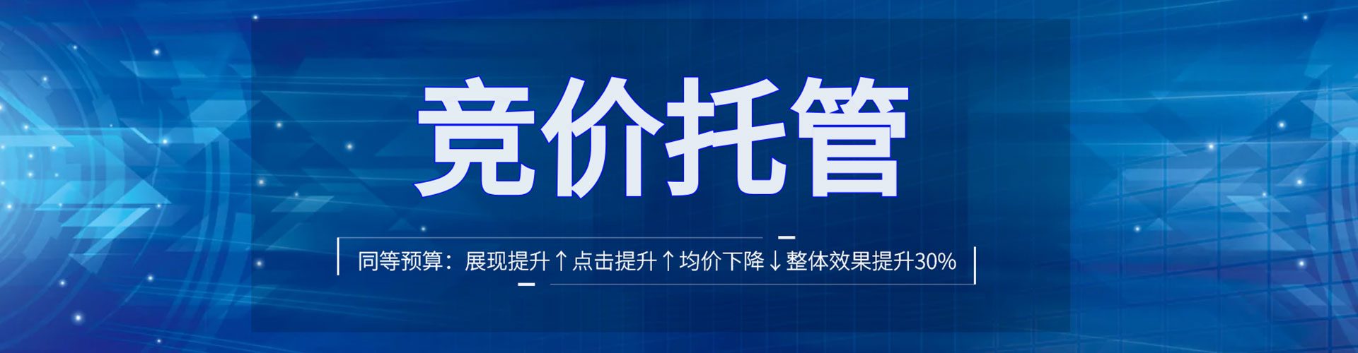 杨梅sem外包